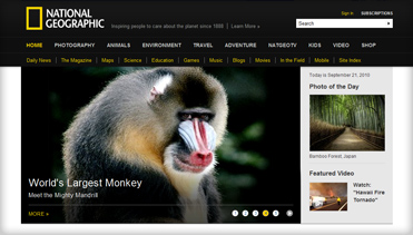 轰炸短信信息软件免费版